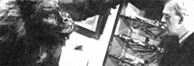 The Ape (1940, William&nbsp;Nigh)