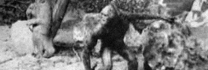 The Dinosaur and the Missing Link: A Prehistoric Tragedy (1915, Willis&nbsp;O’Brien)