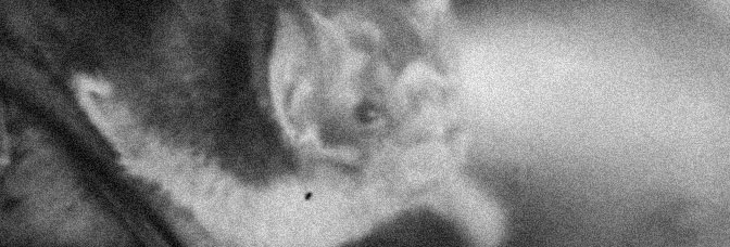 The Vampire (1945, Jean Painlevé)