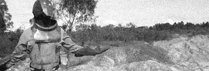 Time Trap (2013, Michael&nbsp;Shanks)