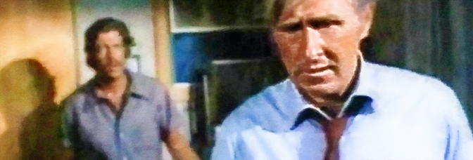 A Tattered Web (1971, Paul&nbsp;Wendkos)