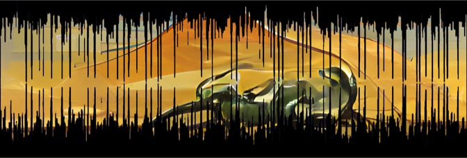 Selected Declarations 22.01.31