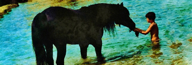 The Black Stallion (1979, Carroll&nbsp;Ballard)