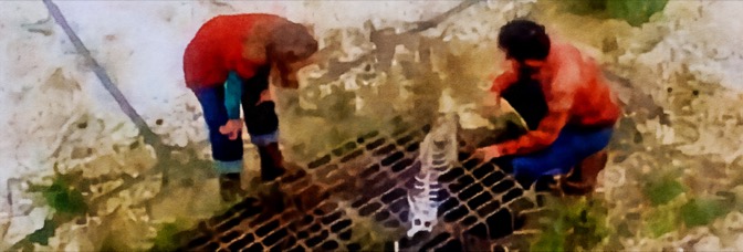 Piranha (1978, Joe&nbsp;Dante)