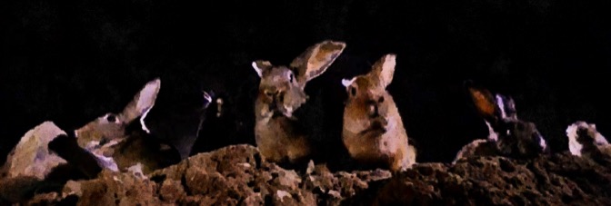 Night of the Lepus (1972, William F.&nbsp;Claxton)