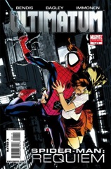 172596 20100903173410 large