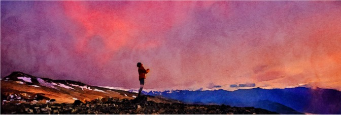 Wild Life (2023, Elizabeth Chai Vasarhelyi and Jimmy&nbsp;Chin)